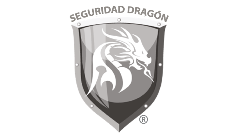 Seguridad Dragon